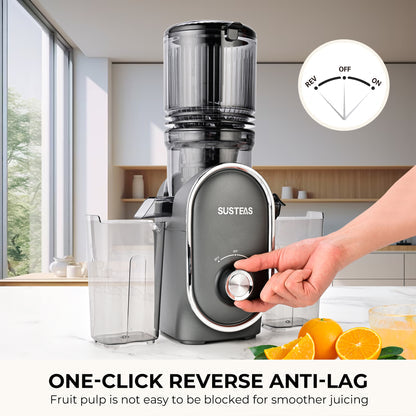 Cold Press Juicer with 5.3" Wide Feed Chute – High Juice Yield, Easy Clean, Whole Fruit Masticator